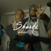 Sharks