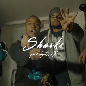 Sharks
