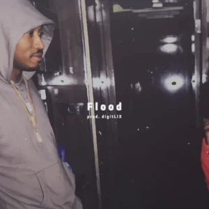 Flood