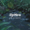 UpNow