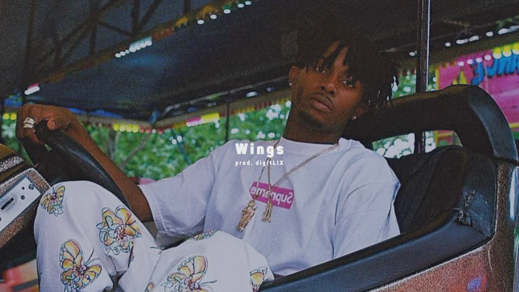 Wings