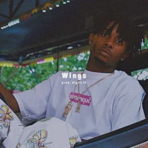 Wings